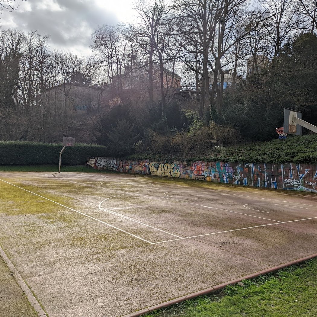 Terrain de basket 2